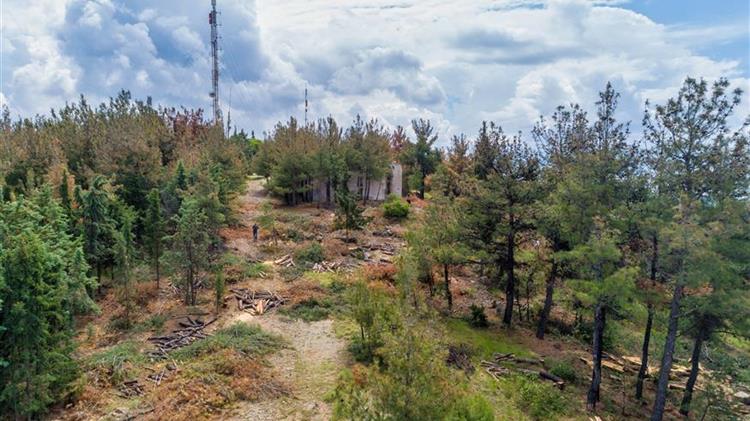 Τέλος Νοεμβρίου η ρύθμιση για 1,3 εκατ. στρέμματα εκχερσωμένων εκτάσεων στην Ελλάδα