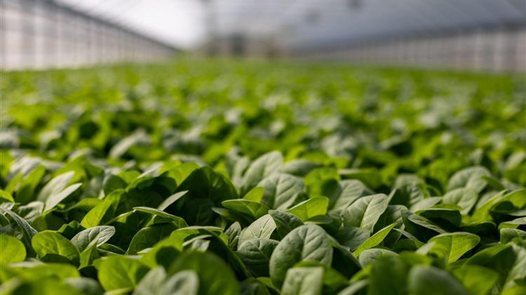 Οι Agro-start ups ανά περιφέρεια, στοιχεία και προβληματισμοί