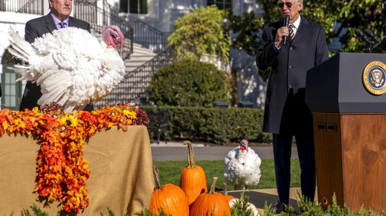 ΗΠΑ: Ο πρόεδρος Μπάιντεν έδωσε χάρη σε δύο γαλοπούλες ενόψει της γιορτής των Ευχαριστιών