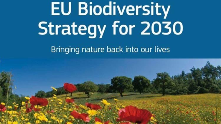 Βιοποικιλότητα: Ισχυρότερα μέτρα κατά της παράνομης εμπορίας άγριων ειδών