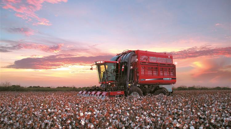 Διευκρινίσεις για τους μειωμένους συντελεστές ΦΠΑ για αγροτικά είδη: Τι πρέπει να ξέρετε