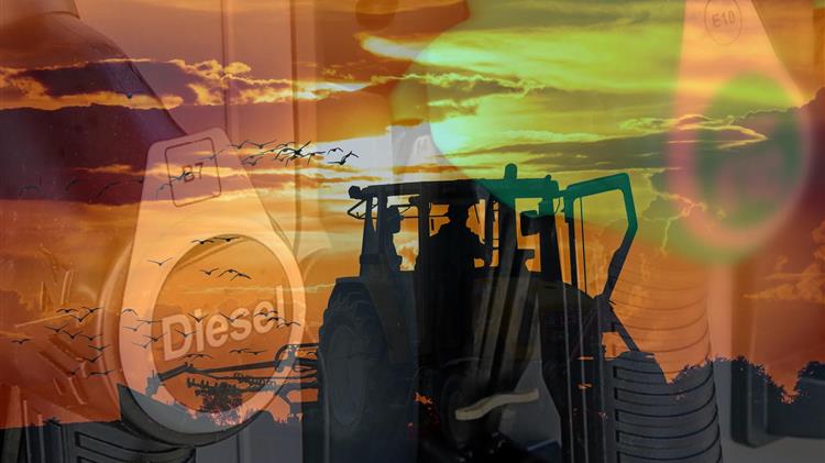 Το κόστος παραγωγής «θερίζει» τις καλλιέργειες