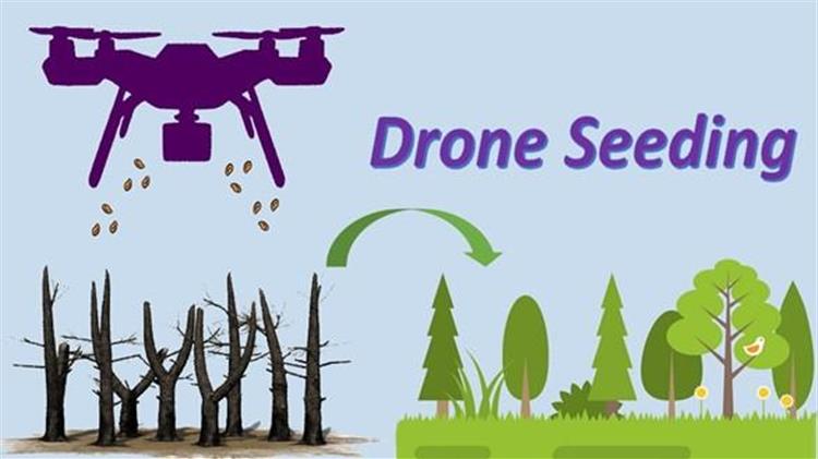 Γεωπονικό Πανεπιστήμιο Αθηνών : Πιλοτική τεχνική αναδάσωσης μέσω drone για πρώτη φορά στην Ελλάδα