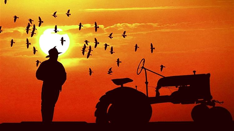 Ερώτηση για τις ευρωπαϊκές επιδοτήσεις αγροτών