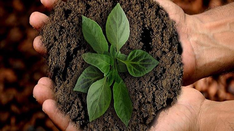 Τα σχέδια της Επιτροπής για την καλλιέργεια άνθρακα αφήνουν ανοιχτά βασικά ερωτήματα