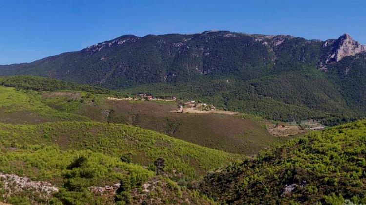 Αναδάσωση στα Γεράνεια Όρη με σπορά από drone