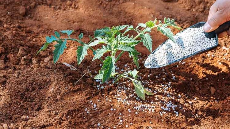 Ισπανία: Ενισχύσεις 300 εκατ. ευρώ για την αγορά λιπασμάτων