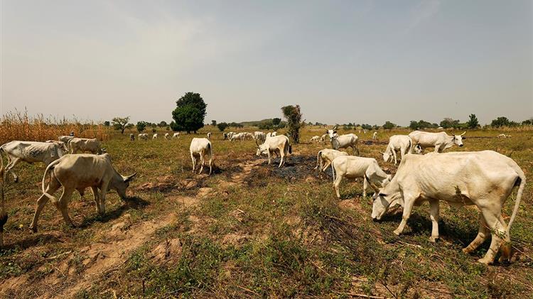 Νιγηρία: 18 νεκροί σε βίαια επεισόδια μεταξύ νομάδων κτηνοτρόφων και αγροτών