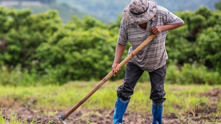 Γεωργία Ακριβείας: Δίνει επιπλέον 70.000 ευρώ ανά χίλια στρέμματα στους ορυζοπαραγωγούς