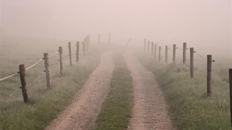 ΟΠΕΚΕΠΕ: Ξετυλίγεται το κουβάρι μεγάλης απάτης με τα βοσκοτόπια