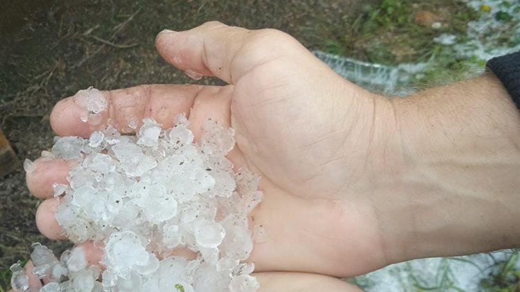Λιακούλη για τις νέες καταστροφές από  τις χαλαζοπτώσεις: «Η Λάρισα και η Θεσσαλία δεν αντέχουν άλλο»