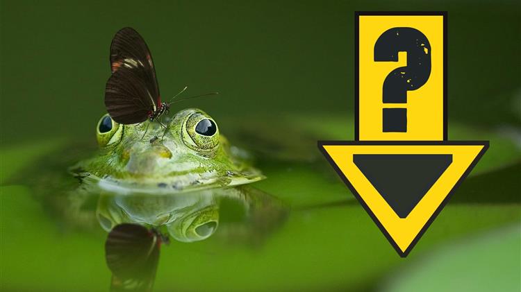 Ο ΟΠΕΚΕΠΕ γνωρίζει τα προβλήματα των αγροτών;