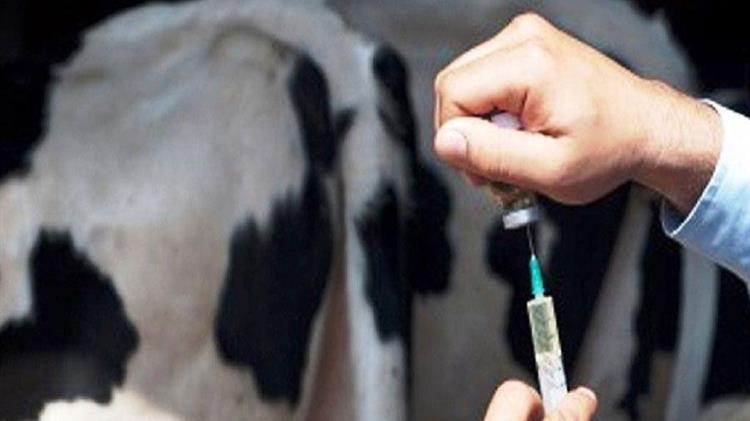 Σχέσεις ΕΕ-Ηνωμένου Βασιλείου: η Επιτροπή παρατείνει τις ρυθμίσεις για τα κτηνιατρικά φάρμακα έως το 2025