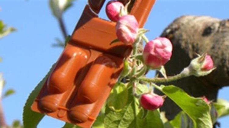 Τροποποιήσεις στον τρόπο υποβολής παραστατικών για το ΚΟΜΦΟΥΖΙΟ του 2025