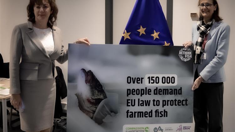 More than 150,000 people urge the EU to protect fish welfare