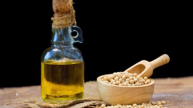 Ανοδικά οι τιμές των φυτικών ελαίων μετά από επτά πτωτικούς μήνες