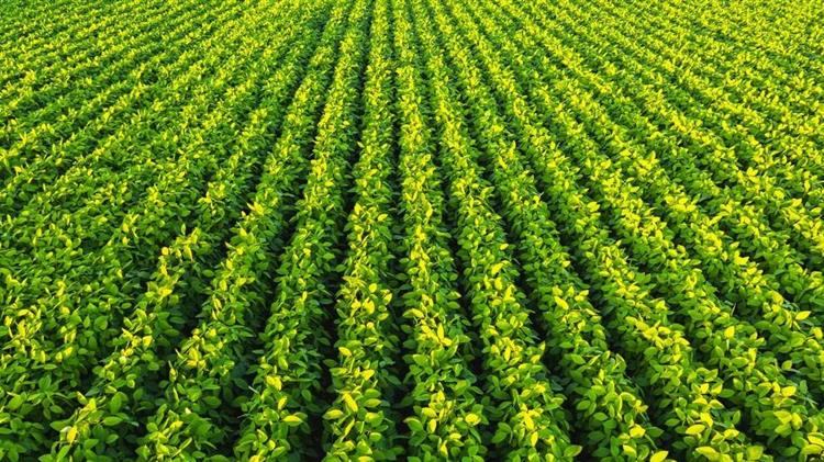 Το υψηλό κόστος των εισροών μπορεί να στρέψει περισσότερους αγρότες σε πρακτικές αναγέννησης