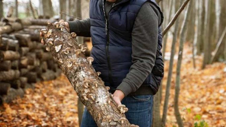 Συγκέντρωση έξω από το ΥΠΕΝ στις 9 Ιανουαρίου θα πραγματοποιήσουν απλήρωτοι ρητινοκαλλιεργητές και δασεργάτες της Β. Εύβοιας