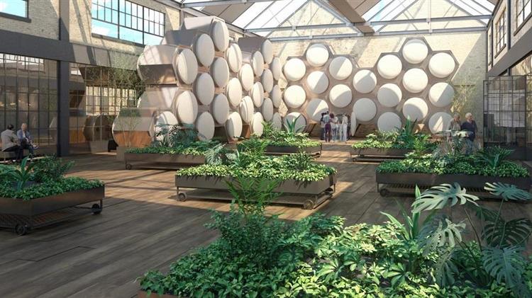 Νέα Υόρκη: Πράσινο φως στη μεταθανάτια κομποστοποίηση ανθρώπινων σωμάτων – Πως αντιδρούν υπέρμαχοι και διαφωνούντες