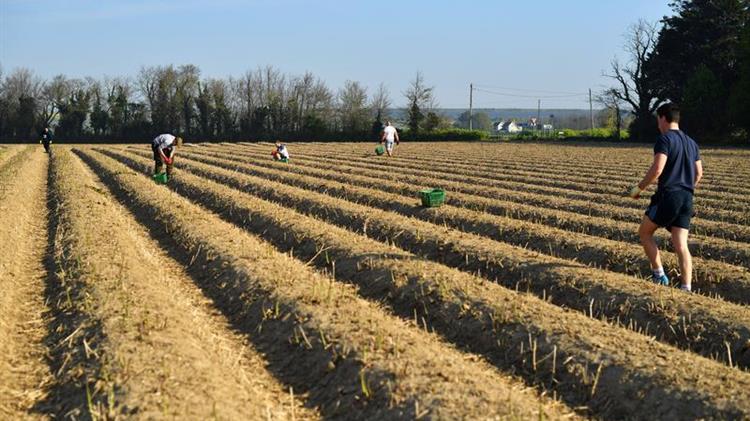 Bloomberg: Οι Βρετανοί αγρότες θα λάβουν επιδοτήσεις μετά το Brexit για να γίνουν πιο πράσινοι