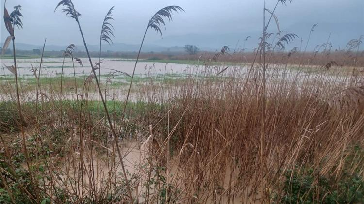 Στη Λακωνία εντοπίζονται τα κυριότερα προβλήματα από την σφοδρή βροχόπτωση