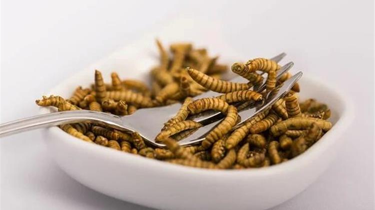 Αυτές είναι οι εταιρείες που χρησιμοποιούν ήδη έντομα σε τρόφιμα