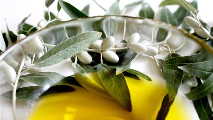 Εισφορά δακοκτονίας 2024-2025: Καθορίζεται η τιμή ελαιολάδου