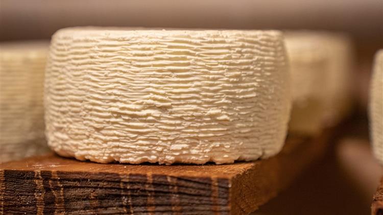 Τυρί από νωπό γάλα για πρώτη φορά στην Ελλάδα