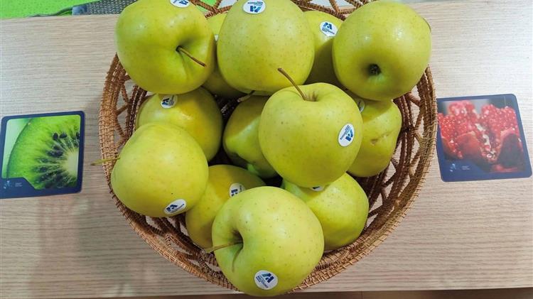 Η Περιφέρεια της Κεντρικής Μακεδονίας στη Διεθνή Έκθεση "FRUIT LOGISTICA 2023"