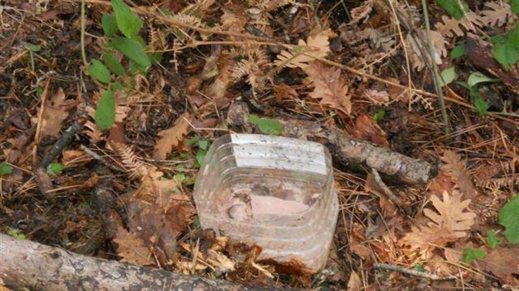 ΟΦΥΠΕΚΑ: Το έγκλημα των δηλητηριασμένων δολωμάτων είναι μια πληγή που μαστίζει την άγρια πανίδα