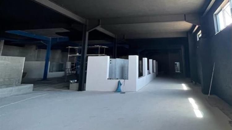 Στη Θεσσαλονίκη κατασκευάζεται το μεγαλύτερο ενυδρείο – 700.000 λίτρα νερού και 2.000 ψάρια