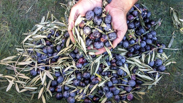 Κίνδυνος χρηματοδότησης προγράμματος ΟΕΦ 2024-2027