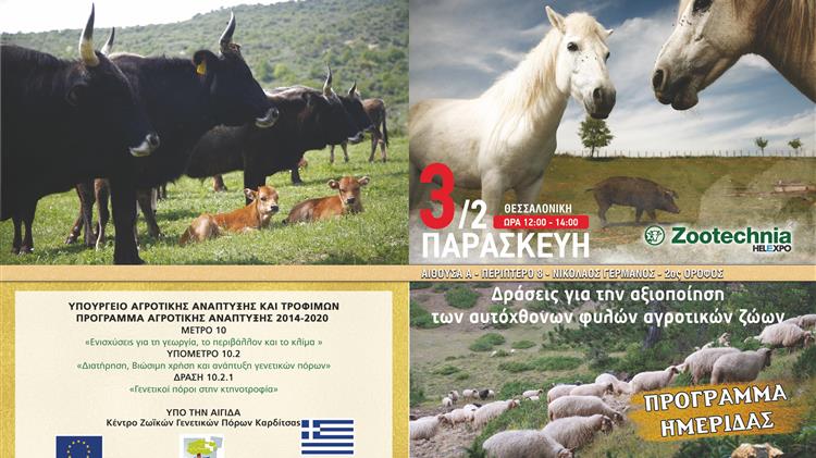 Δράσεις για την αξιοποίηση των αυτόχθονων φυλών αγροτικών ζώων