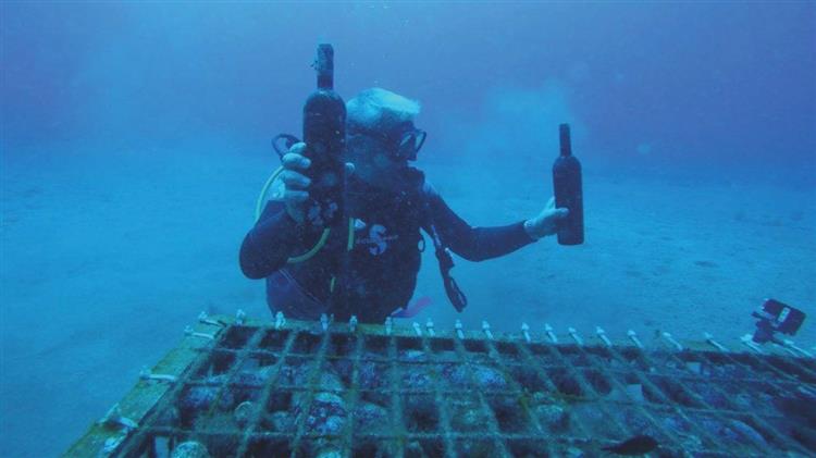 ΣΕΟ: Νέες δυνατότητες δίνει η υποθαλάσσια παλαίωση οίνων