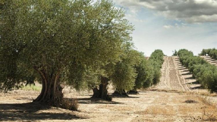 ΠΑΣΟΚ-ΚΙΝΑΛ: Νέο σκάνδαλο με τα προγράμματα ΟΕΦ