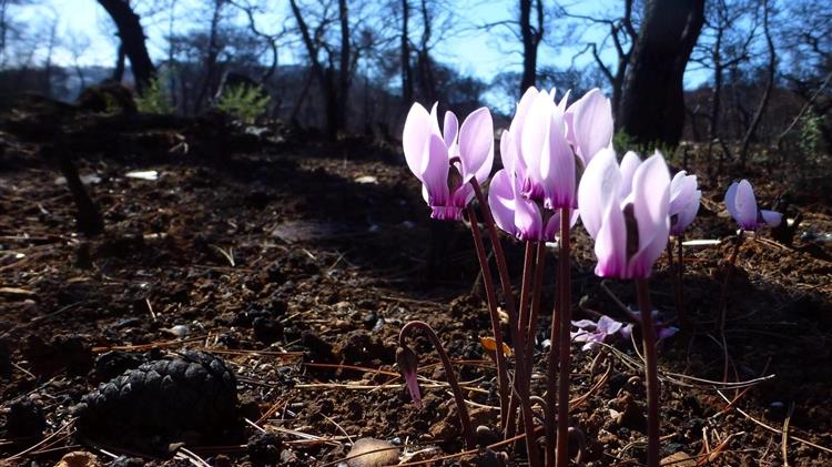 «Προστασία της φύσης LAB»