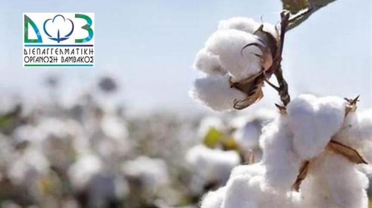 «Το παρόν και το μέλλον της ελληνικής βαμβακοκαλλιέργειας»