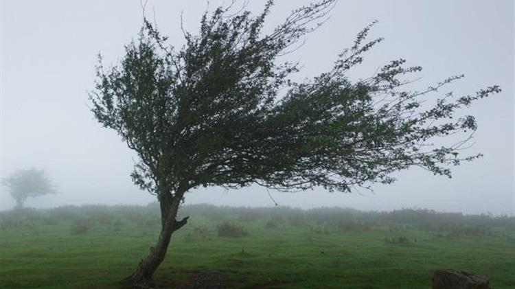 Συστάσεις  προς τους πολίτες για την προστασία από θυελλώδεις  ανέμους
