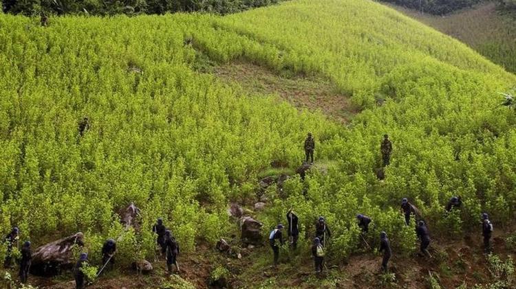 ΟΗΕ: Η παγκόσμια προσφορά κοκαΐνης έχει φθάσει σε επίπεδα ρεκόρ
