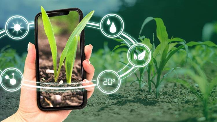 Γεωργία: Ένα νέο πεδίο μάχης για τους γίγαντες του Διαδικτύου της Κίνας