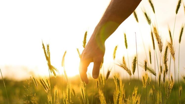 Θεσσαλονίκη: Το στοίχημα της βιώσιμης ανάπτυξη στον πρωτογενή τομέα