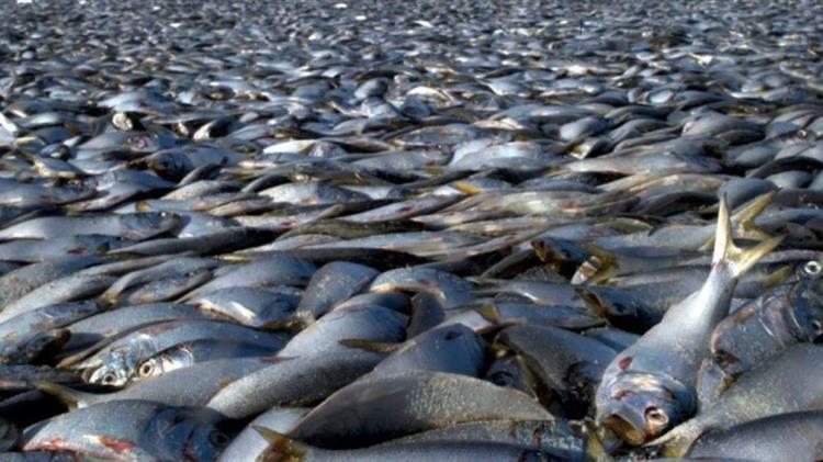 Κατατέθηκε η ρύθμιση για το αφορολόγητο των ενισχύσεων σε επιχειρήσεις του Παγασητικού