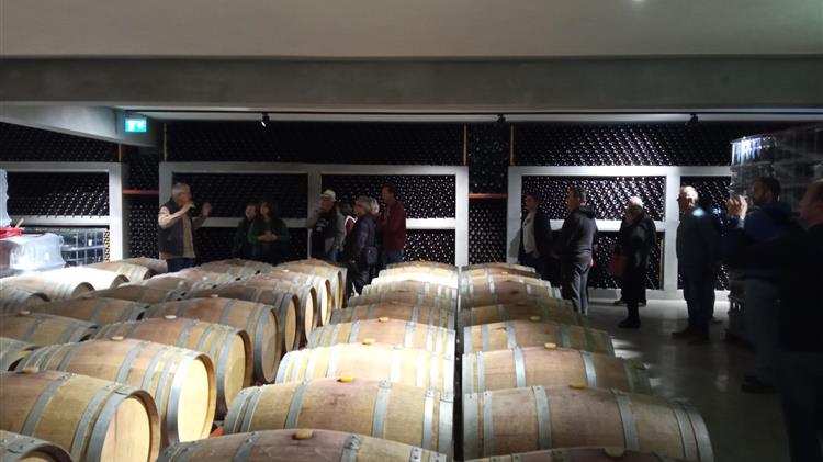 Συναγερμός για "ελληνοποιήσεις" οίνων