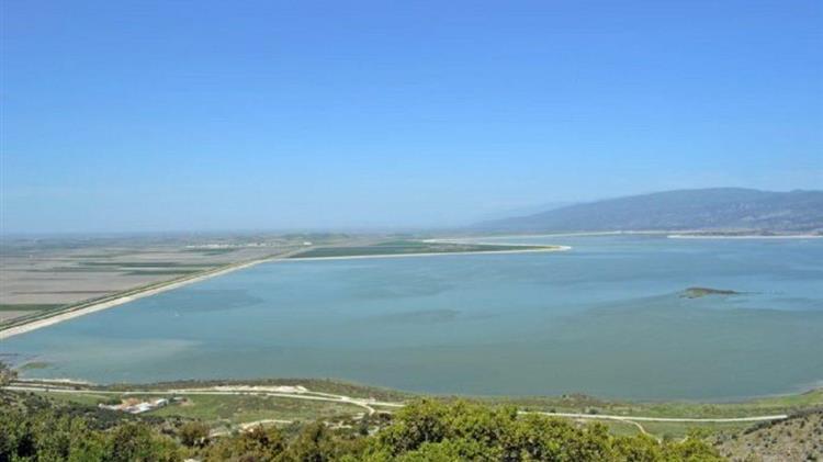 Κοπάδι βοοειδών έβοσκε επί έναν χρόνο στον υγροβιότοπο της λίμνης Κάρλα