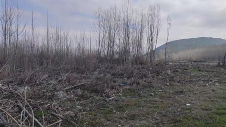 Καβάλα: Επιστρέφεται στους αγρότες η έκταση συντριβής του ουκρανικού Antonov