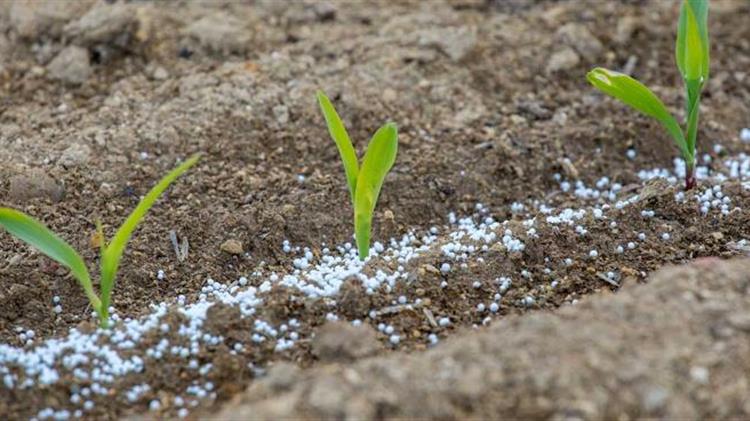 Η Επιτροπή αναζητά υποψήφιους για συμμετοχή στο νέο παρατηρητήριο της αγοράς λιπασμάτων