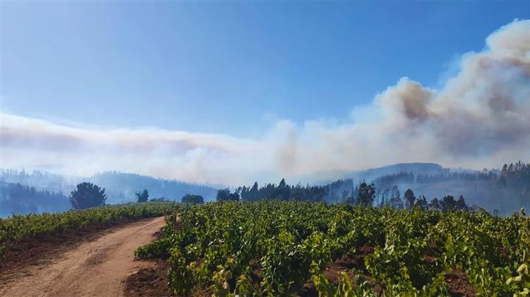 Το κλίμα απειλεί τους αμπελώνες της Χιλής και της Ν. Ζηλανδίας