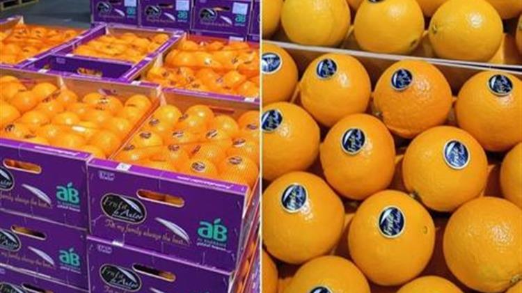Η Grupo Fruta de Autor καταλήγει σε συμφωνία με τον μεγαλύτερο χονδρέμπορο του Ντουμπάι για εξαγωγή πορτοκαλιών