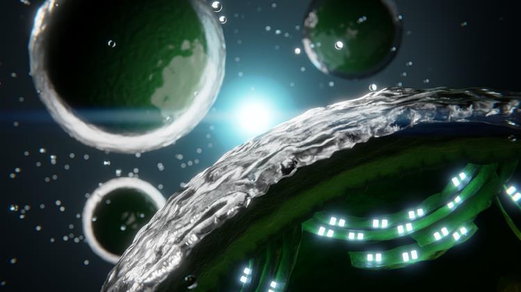 Η φωτοσύνθεση θα μπορούσε να οδηγήσει σε νέους τρόπους παραγωγής ενέργειας