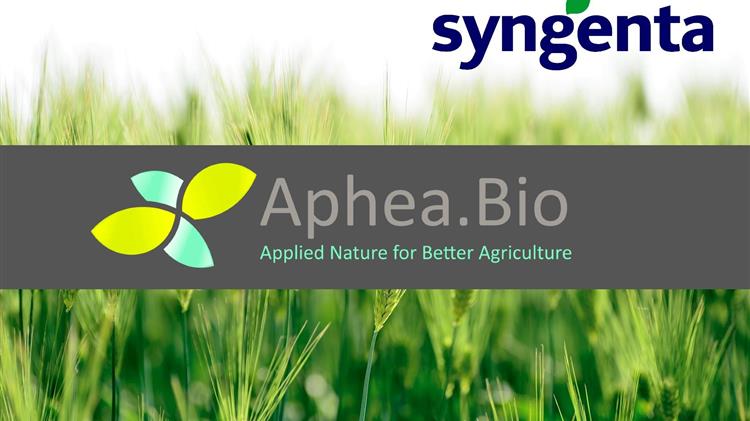 Syngenta Crop Protection & Aphea.Bio: Εισάγουν βιοδιεγερτική επεξεργασία σπόρων στις αγορές της Ε.Ε.